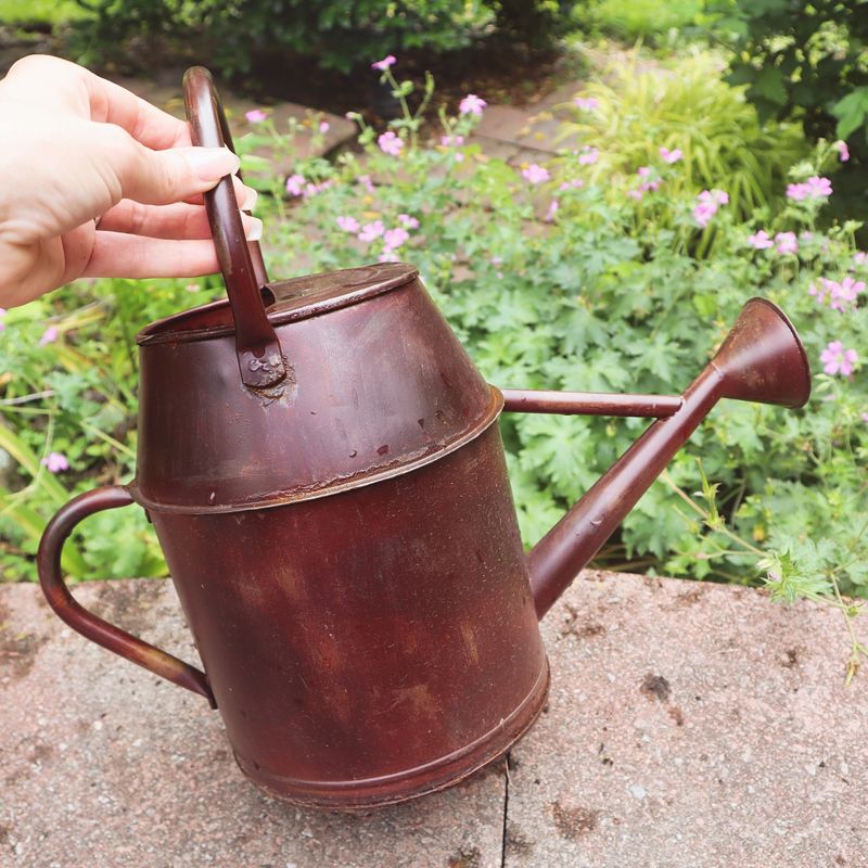 Vintage Watering Cans
