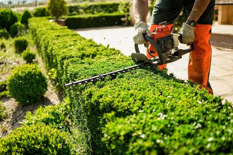 Precision-Trimmed Hedges