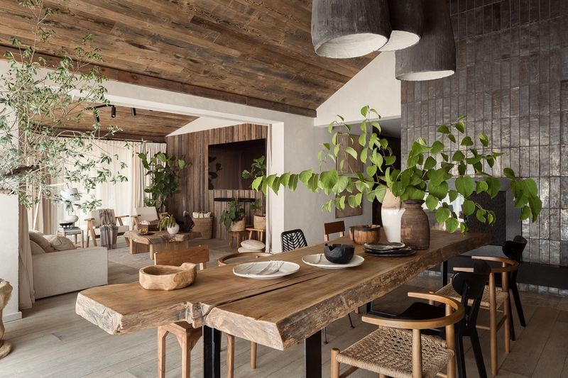 Biophilic Design Elements