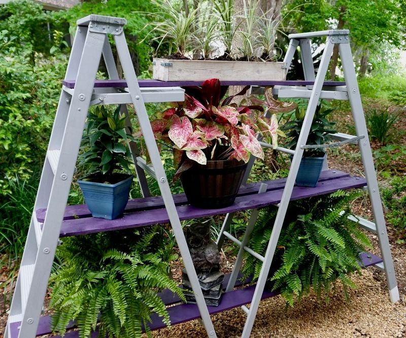Ladder Plant Stand