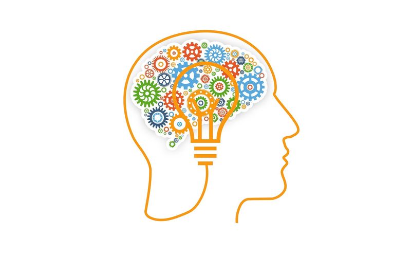 Creativity And Imagination Expand Dramatically