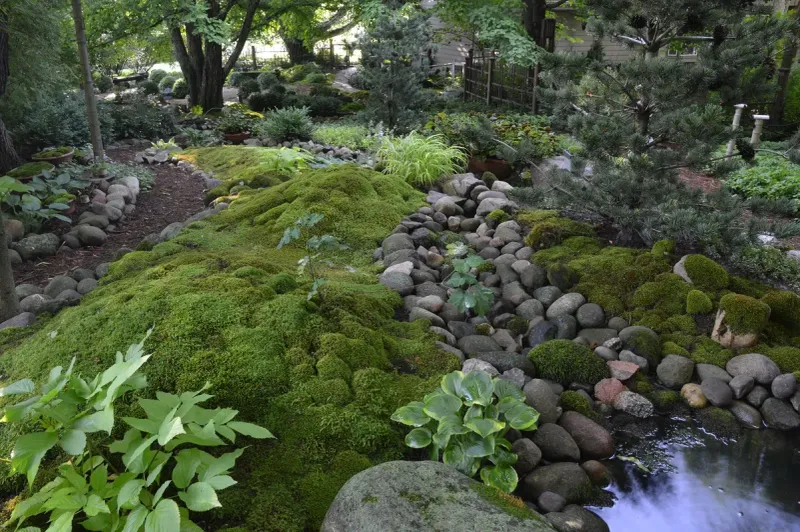 Moss-Covered Stone Collection