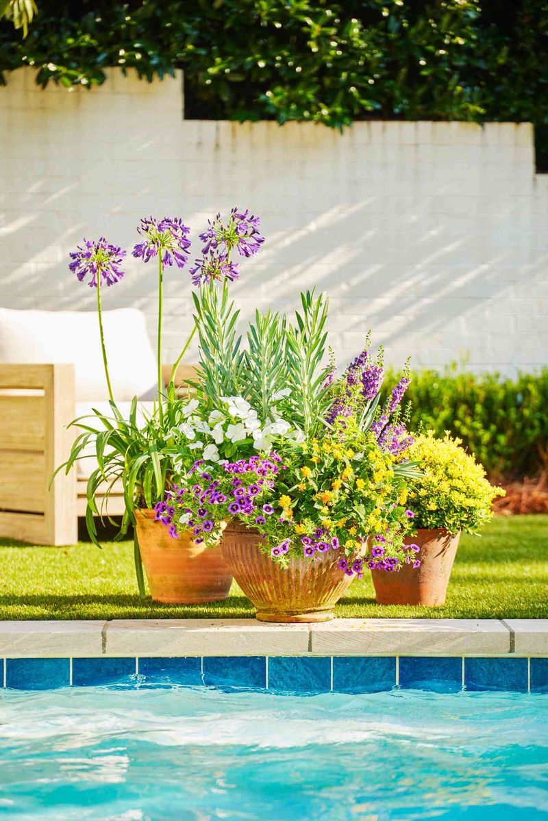 Clustered Container Gardens
