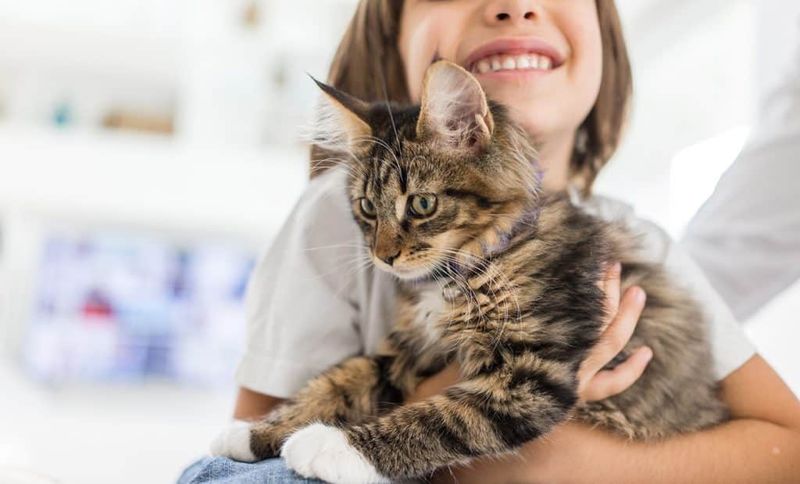Arrange for Pet and Child Care on Moving Day