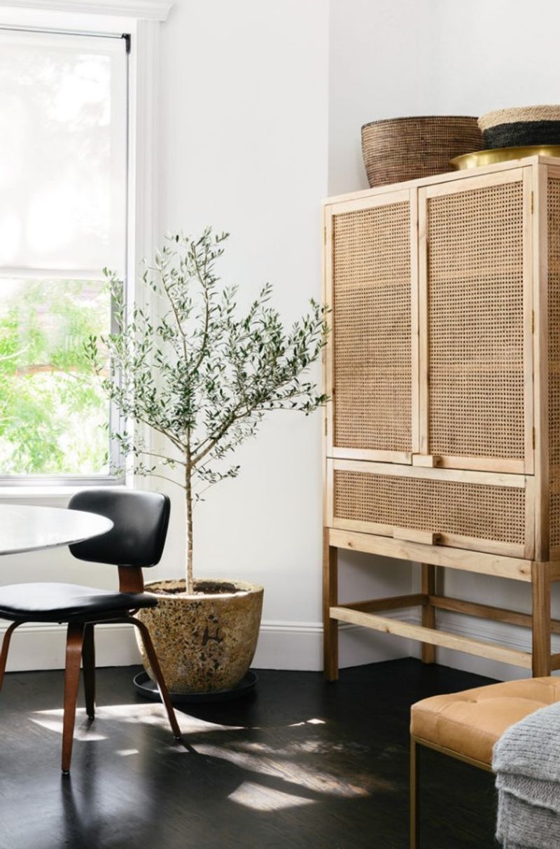 Cane Furniture