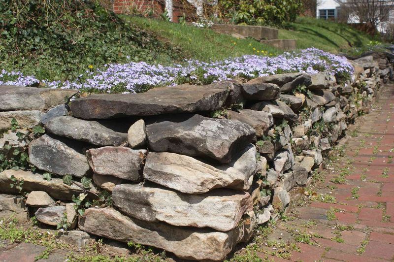 Rustic Dry-Stack Design