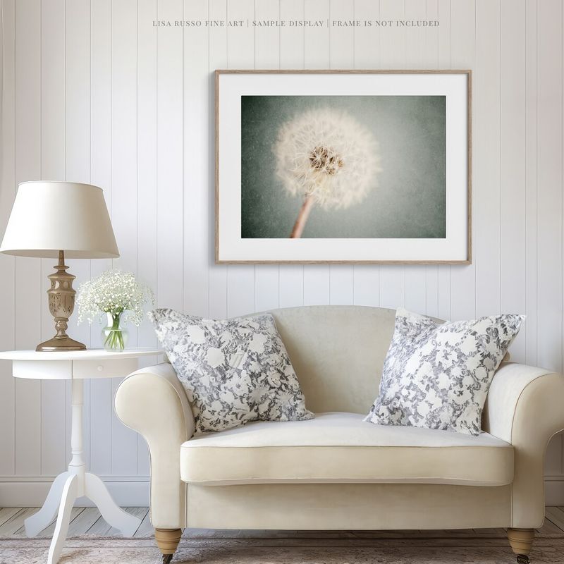 Nature Photography Display
