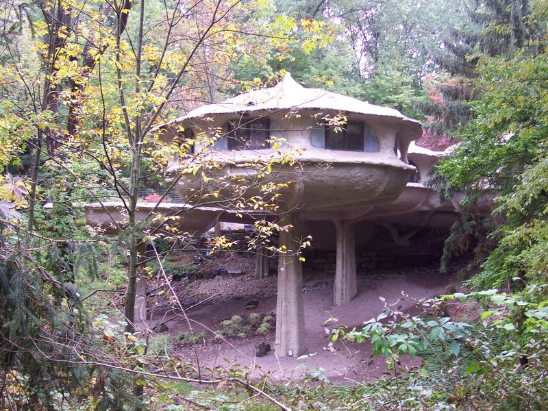 The Mushroom House