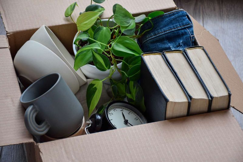 The Daily 10-Item Pickup