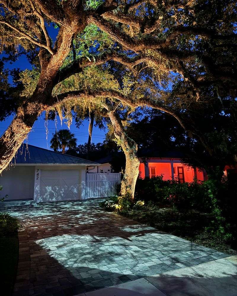 Moonlighting From Trees