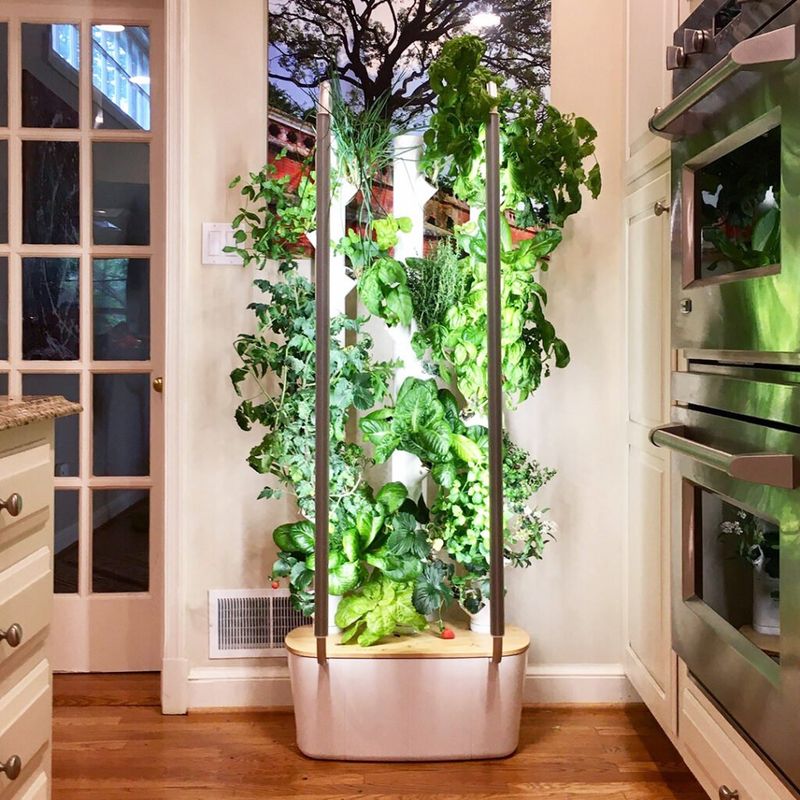 Vertical Herb Gardens With Identity Crises