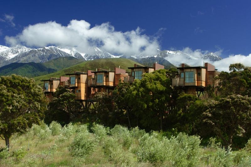 Hapuku Lodge Tree Houses New Zealand