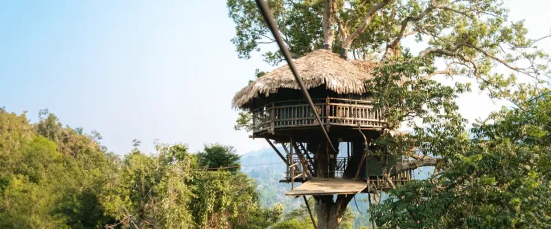 Gibbon Experience Laos