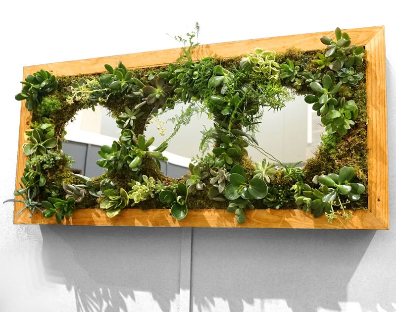 Use a Mirror Frame for a Living Wall