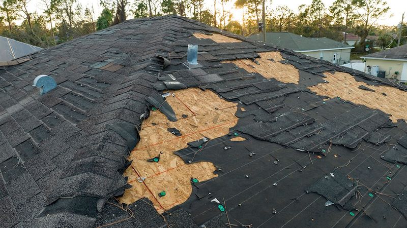 Inspect Your Current Roof Damage