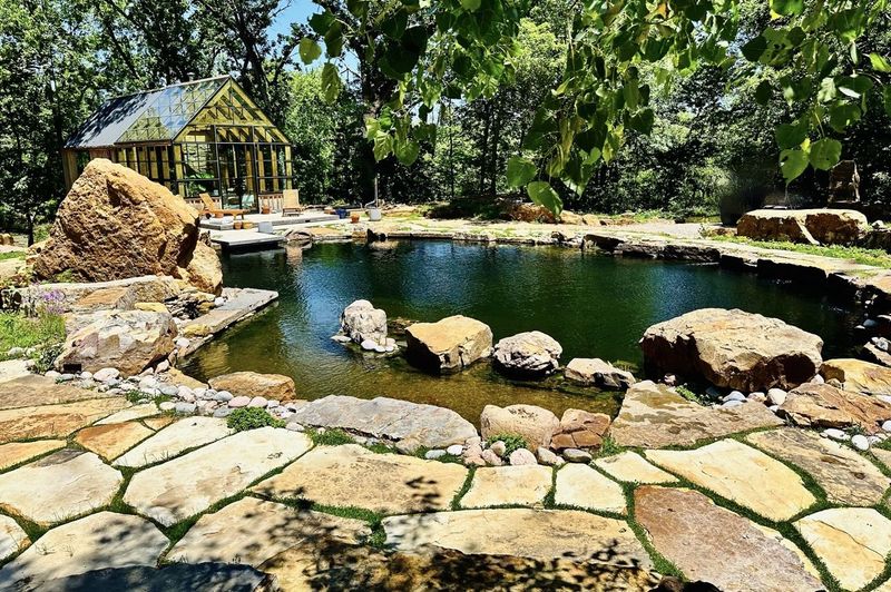 Natural Swimming Pool Conversion