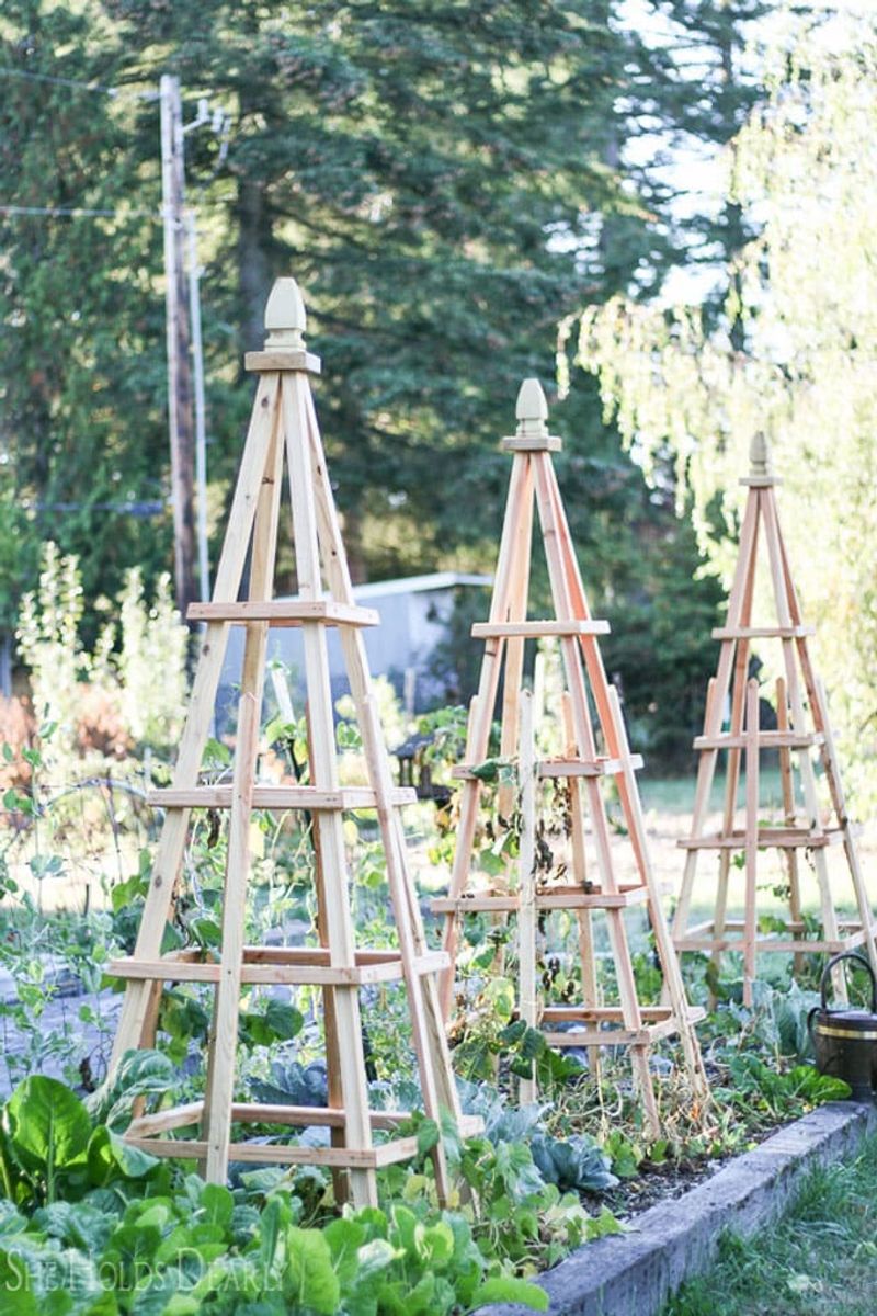 Wooden Trellises And Garden Structures