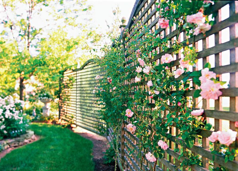 Privacy Fences That Block Views