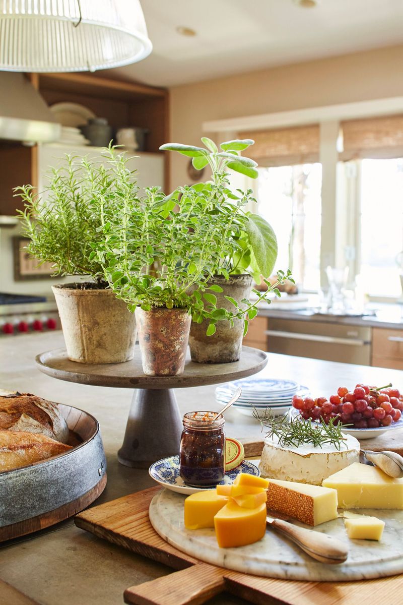 Add Greenery in Small Planters