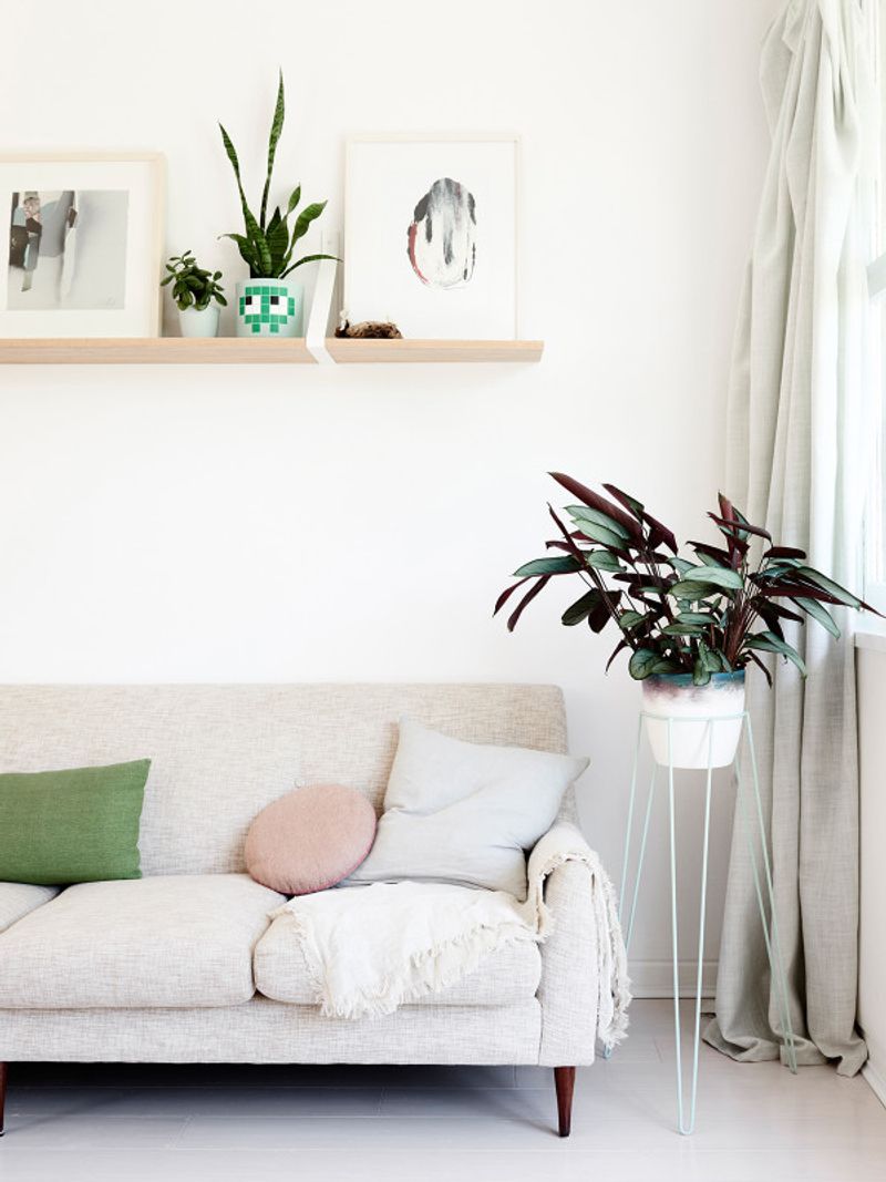 Add a Statement Plant