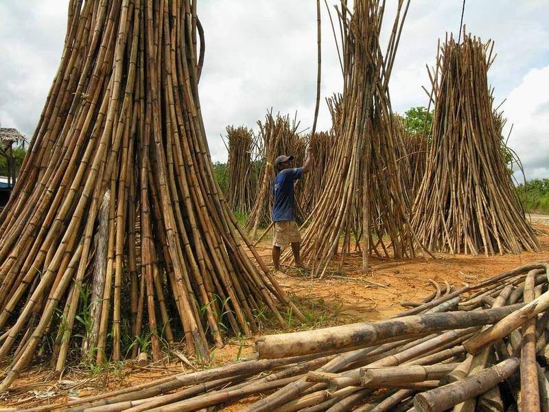 Etymology Tied to Malay Roots