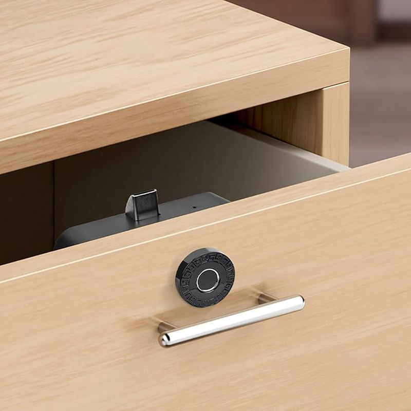 Drawer Pulls That Unlock With Fingerprint Recognition