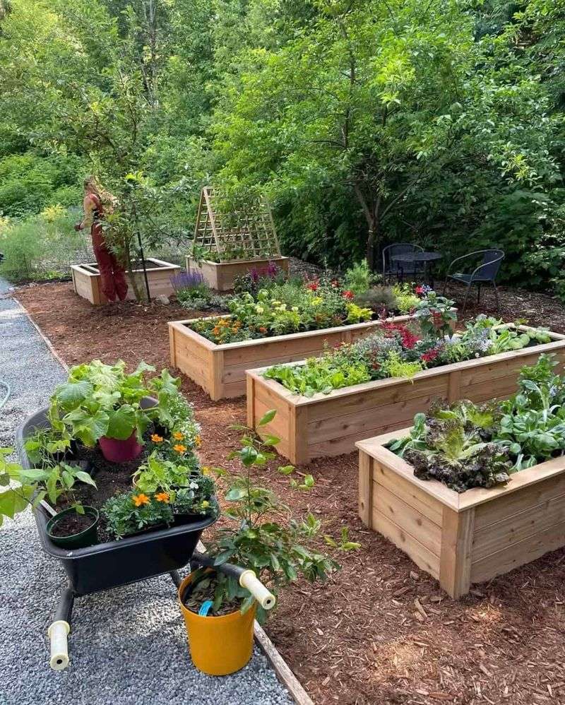 Compact herb and vegetable garden