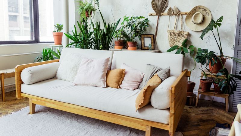 Urban Jungle Loft Vibes