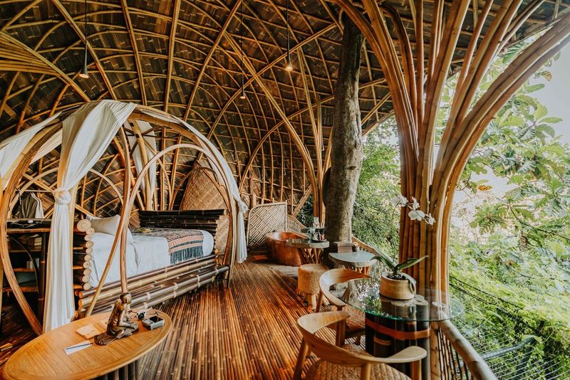 Tropical Bamboo Arch