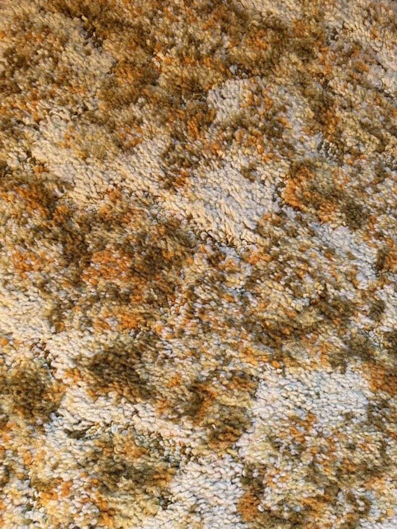 Shag Carpeting