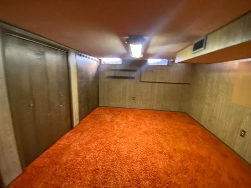 Shag Carpeting
