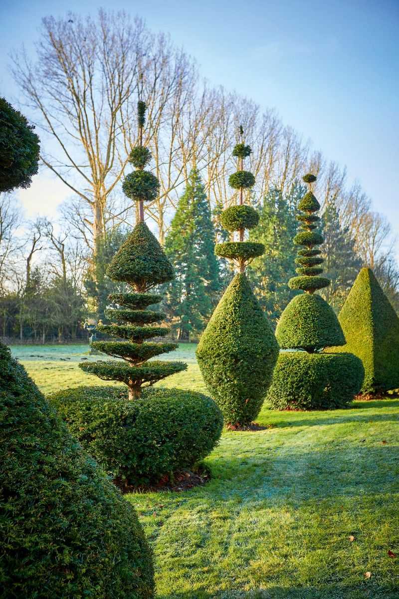 Tamed Greenery