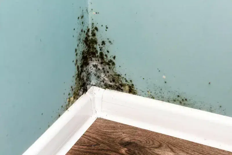 Moisture Problems Sneak Up On You
