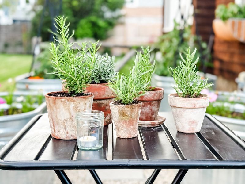 Ceramic And Terra Cotta Pots With Age