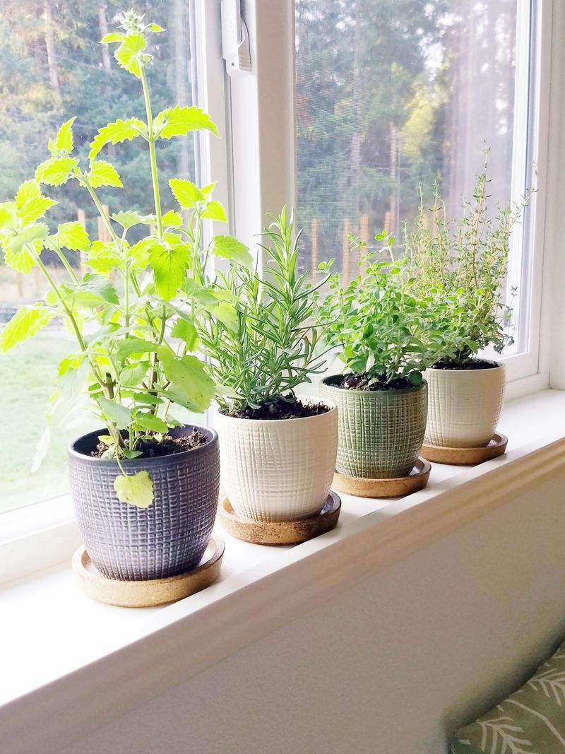 Herb-Filled Kitchen Window Garden
