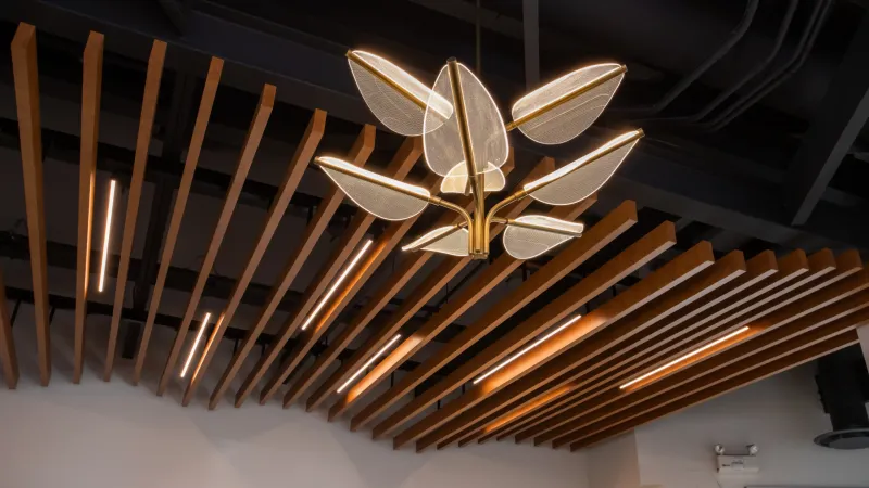 Maximalist Ceilings