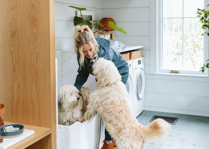 Pet-Centric Architectural Features