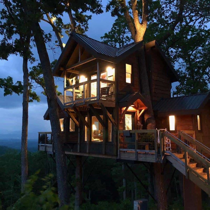 Treetop Tech Nest