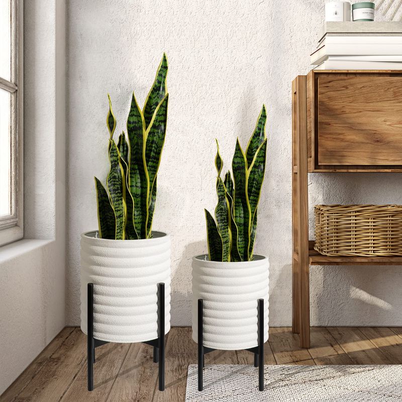 Plant Stand Displays