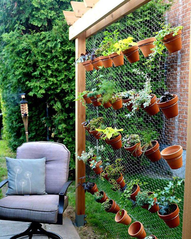 Vertical Plant Walls Create Privacy
