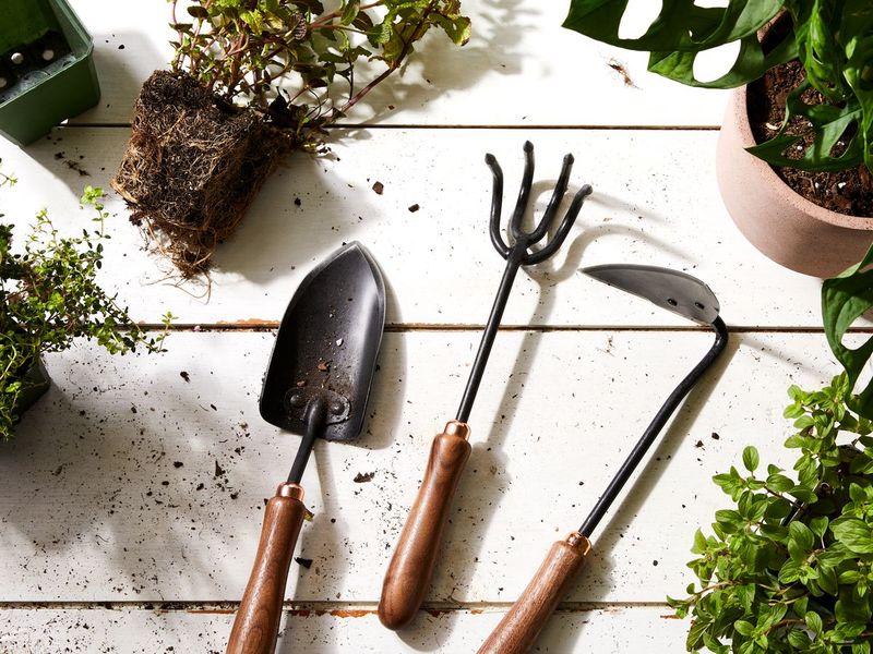 Metal Garden Tools With Solid Handles
