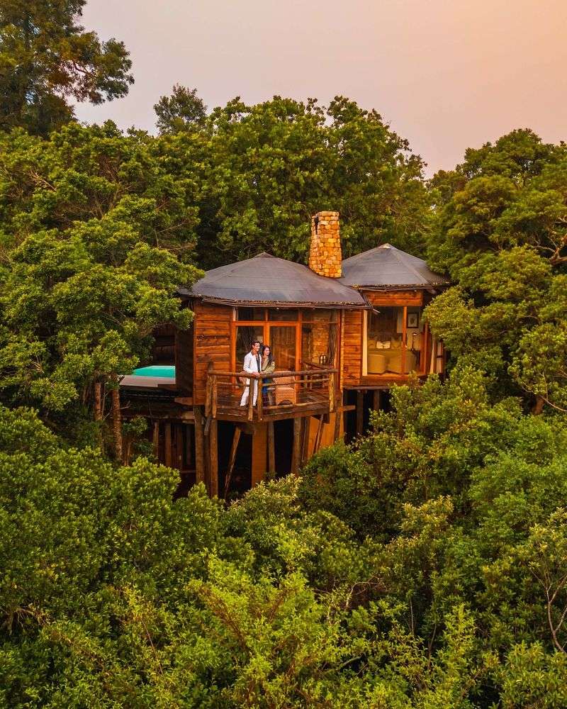 Tsala Treetop Lodge South Africa