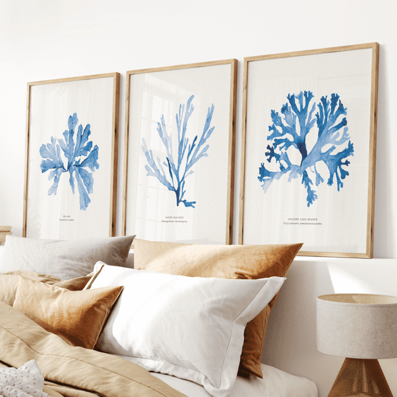 Coastal Artwork Sets the Mood