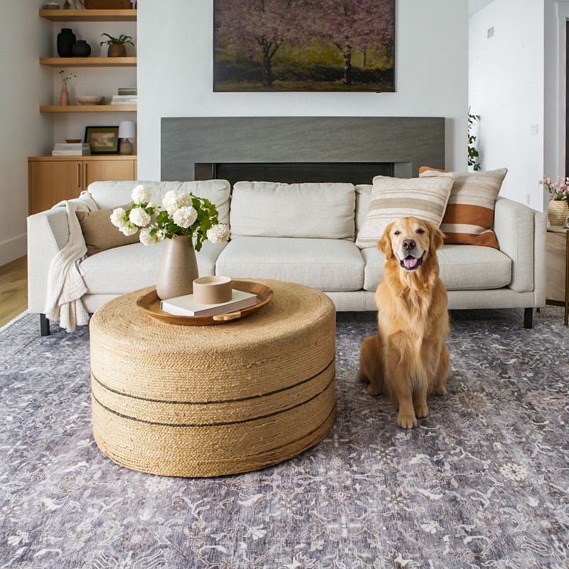 Neutral-toned pet rugs