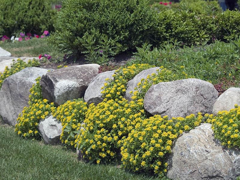 Natural Stone Garden Borders And Edging