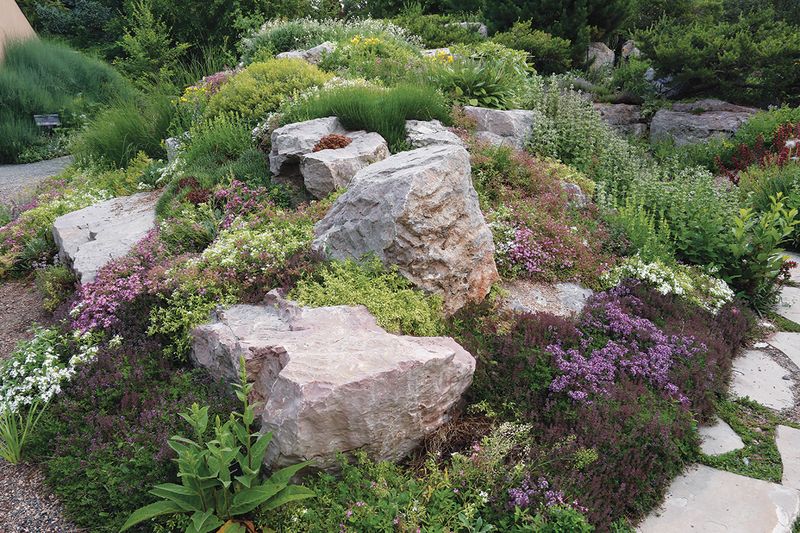Alpine Rock Garden