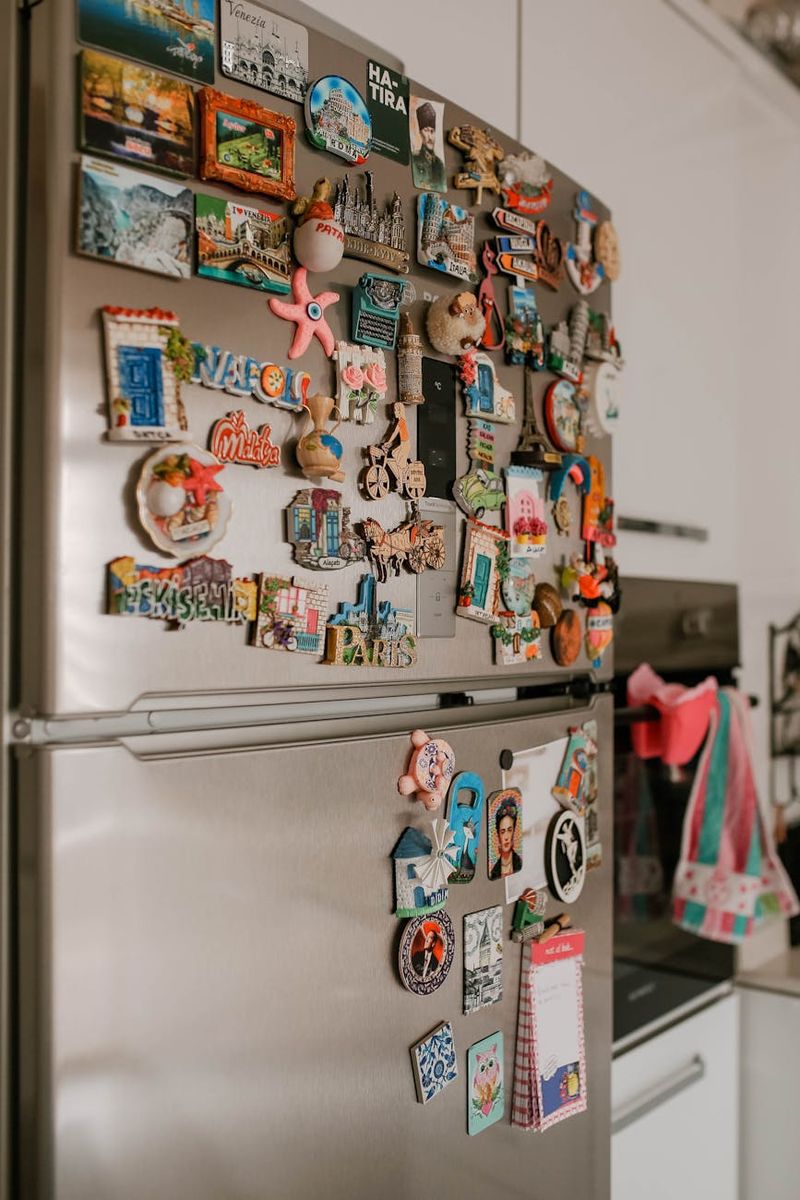Refrigerator Magnets and Papers