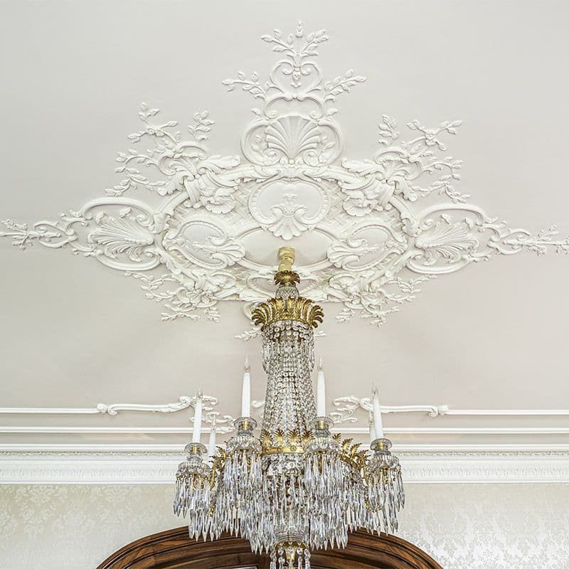 Ornate Plaster Ceilings