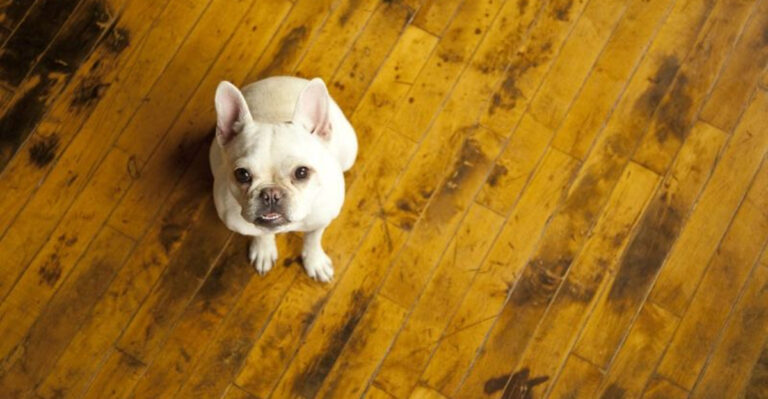17 Costly Mistakes To Dodge When Picking Hardwood Floors