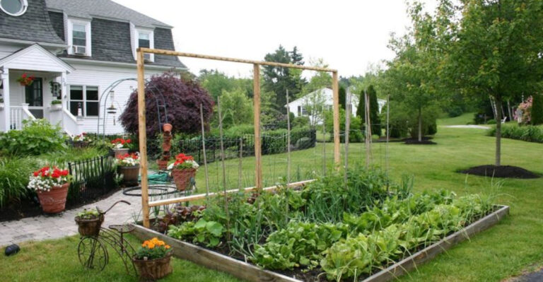17 Yard Things That Could Soon Be Banned in U.S. Neighborhoods